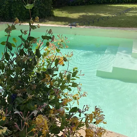 La Casita Del Cipres - Encantadora Casa 7 Con Piscina Y Jardin Privado بيت للعطل